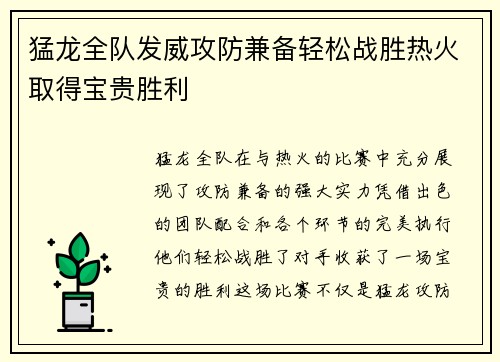 猛龙全队发威攻防兼备轻松战胜热火取得宝贵胜利