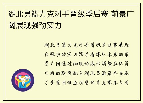 湖北男篮力克对手晋级季后赛 前景广阔展现强劲实力